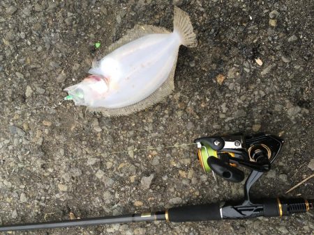 雪の降る中でジグサビキ